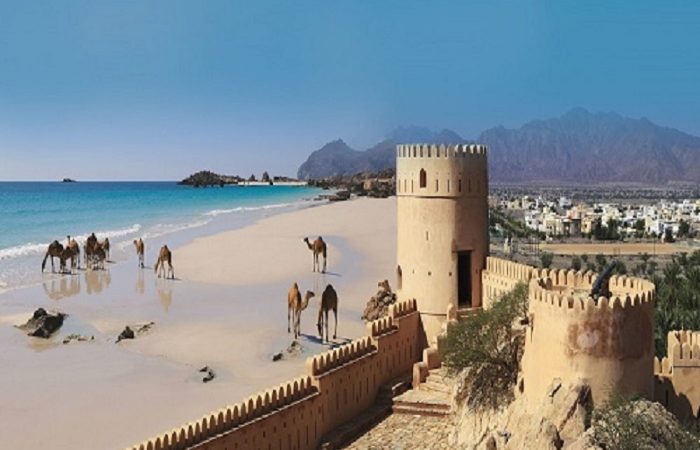 طراحی سایت در عمان