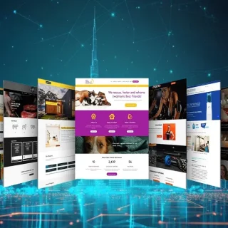 Startup website design in Dubai