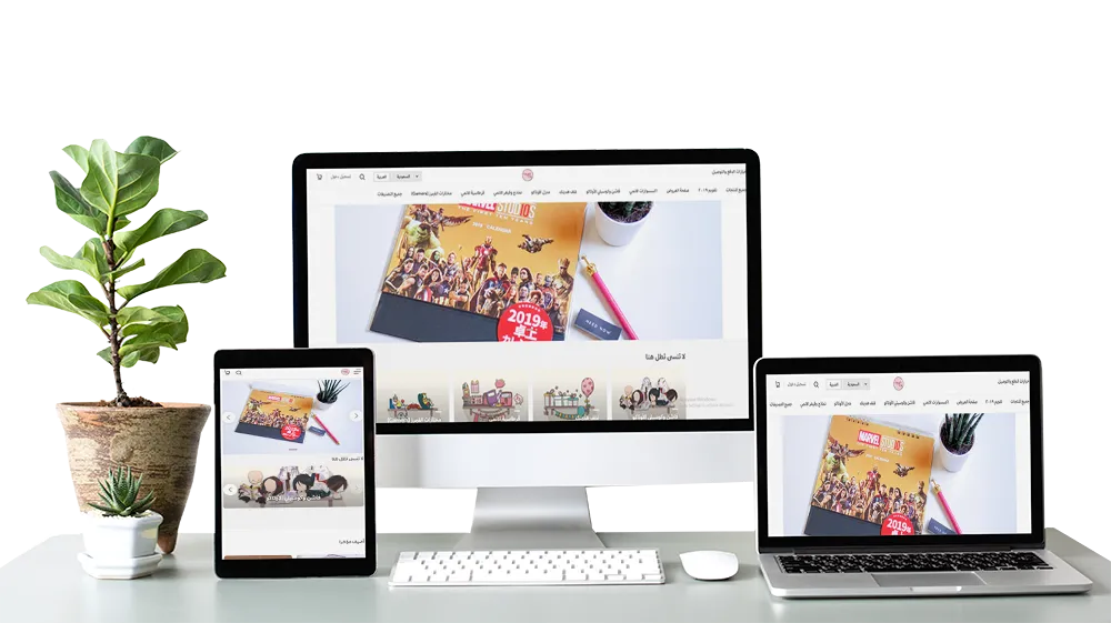 Professional store website design in Dubai