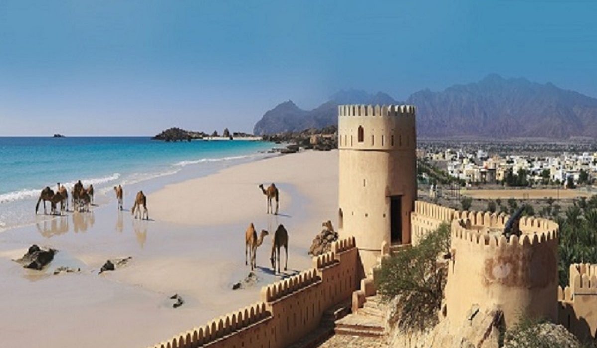 طراحی سایت در عمان