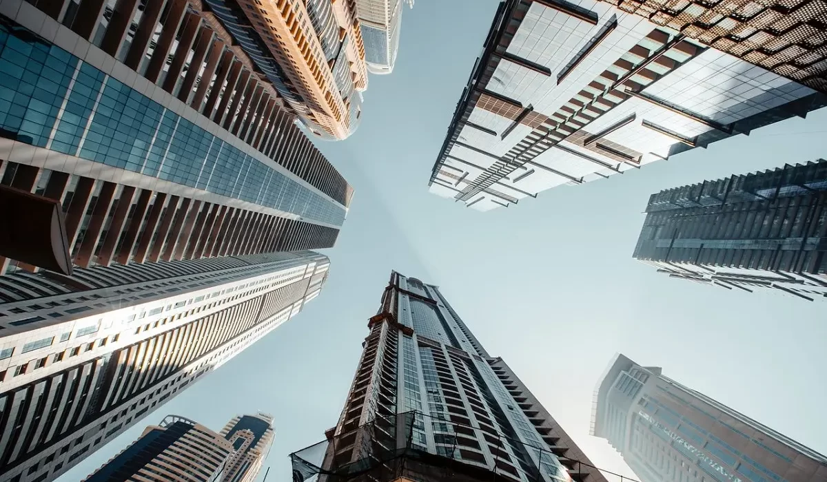 طراحی سایت و سئو در امارات