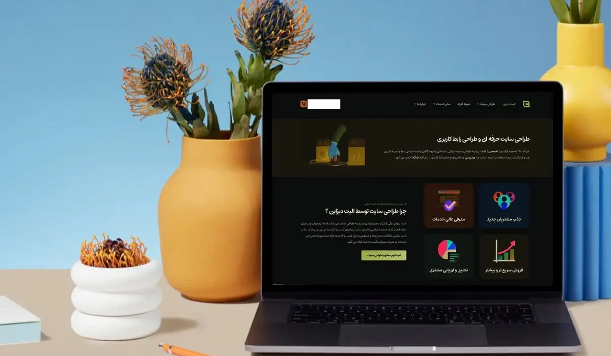 تجربه و تخصص ما در طراحی سایت