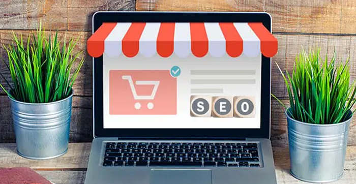 سئو وبسایت در کشور امارات