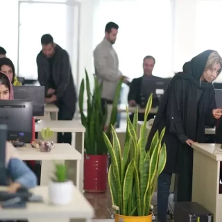 طراحی سایت در امارات